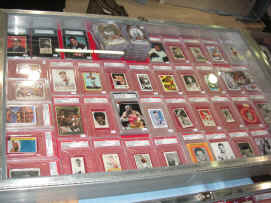 pict6816.jpg (233875 bytes)