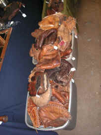 pict6910.jpg (176087 bytes)