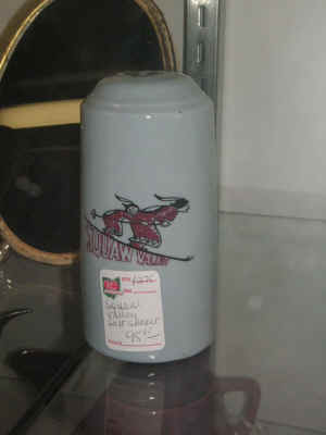 pict7703.jpg (107353 bytes)