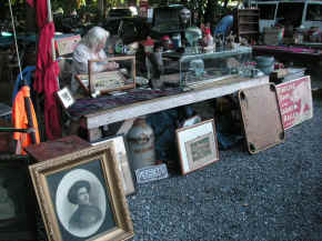 pict7886.jpg (273463 bytes)