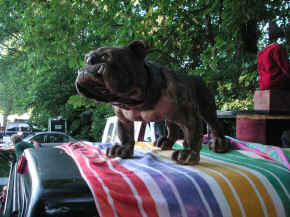 pict7887.jpg (266480 bytes)