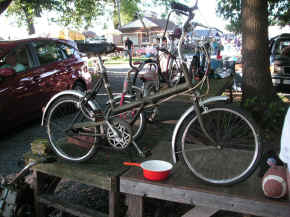 pict7907.jpg (262717 bytes)