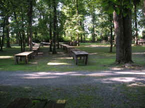 pict7961.jpg (287354 bytes)