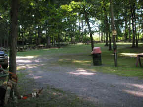 pict7962.jpg (277695 bytes)