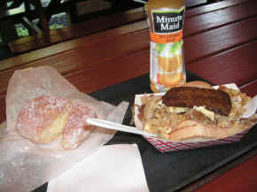 pict7968.jpg (201587 bytes)