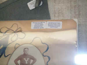 pict8105.jpg (156248 bytes)