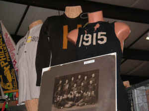 pict8114.jpg (181898 bytes)