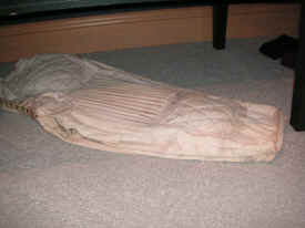 pict8198.jpg (178675 bytes)