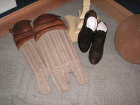 pict8202.jpg (195182 bytes)