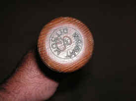 pict8294.jpg (176689 bytes)