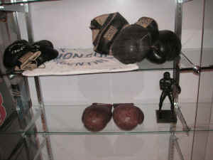 pict9687.jpg (336274 bytes)